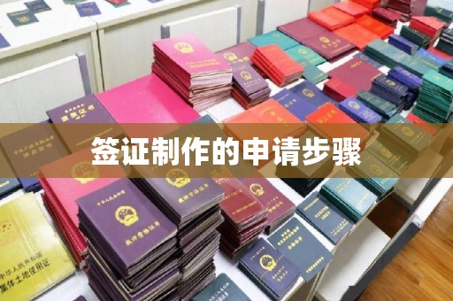 瑞昌签证制作的申请步骤
