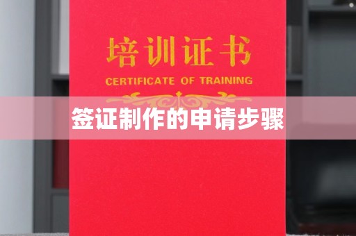 瑞昌签证制作的申请步骤
