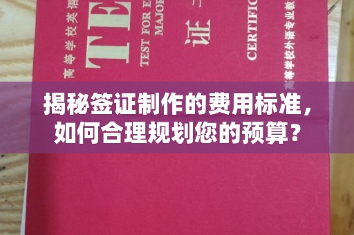 瑞昌揭秘签证制作的费用标准，如何合理规划您的预算？