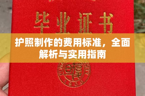瑞昌护照制作的费用标准，全面解析与实用指南