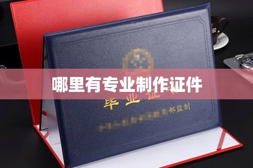 瑞昌哪里有专业制作证件