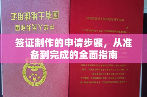 瑞昌签证制作的申请步骤，从准备到完成的全面指南