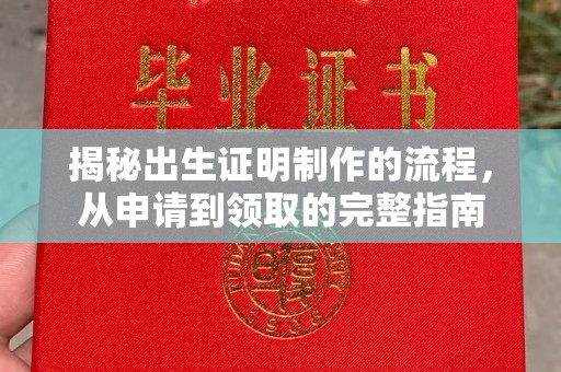 瑞昌揭秘出生证明制作的流程，从申请到领取的完整指南