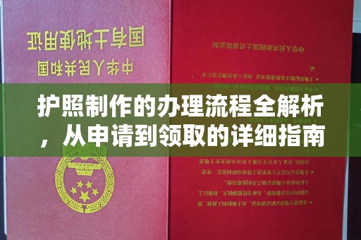 瑞昌护照制作的办理流程全解析，从申请到领取的详细指南