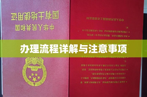 瑞昌办理流程详解与注意事项
